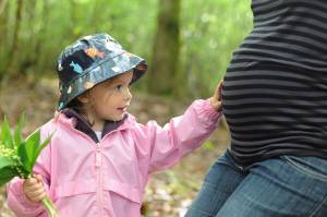 Alexandre LESCURE - ALEXANDRE LESCURE PHOTOGRAPHE